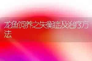龙鱼饲养之失衡症及治疗方法