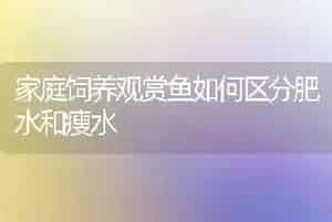 家庭饲养观赏鱼如何区分肥水和瘦水