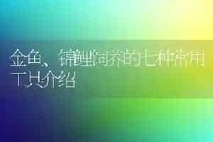 金鱼、锦鲤饲养的七种常用工具介绍