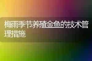 梅雨季节养殖金鱼的技术管理措施