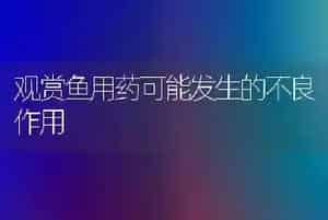 观赏鱼用药可能发生的不良作用
