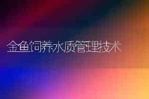 金鱼饲养水质管理技术