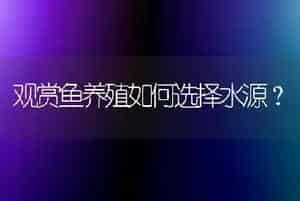 观赏鱼养殖如何选择水源?