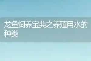 龙鱼饲养宝典之养殖用水的种类