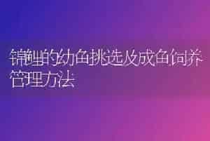 锦鲤的幼鱼挑选及成鱼饲养管理方法