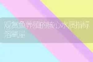 观赏鱼养殖的核心水质指标溶氧量