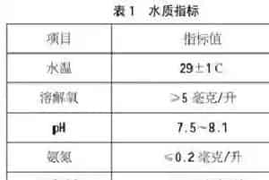 罗汉鱼的繁殖与苗种培育技术