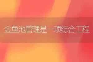 金鱼池管理是一项综合工程