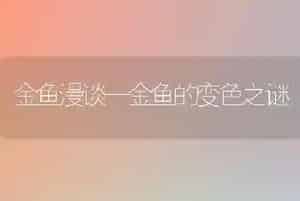 金鱼漫谈—金鱼的变色之谜