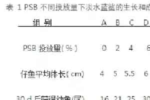 高浓度光合细菌在观赏鱼养殖中的应用试验
