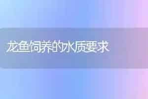 龙鱼饲养的水质要求