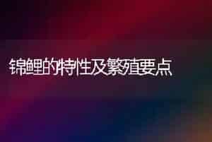 锦鲤的特性及繁殖要点