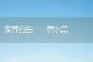 家养金鱼——养水篇