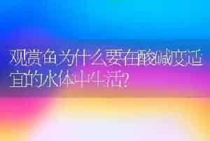 观赏鱼为什么要在酸碱度适宜的水体中生活?