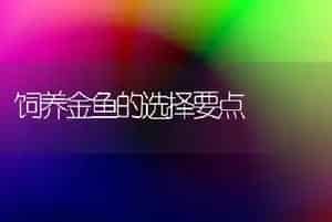 饲养金鱼的选择要点