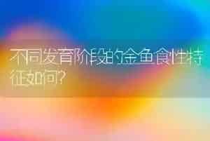 不同发育阶段的金鱼食性特征如何?