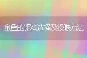金鱼的饵料选择及投喂方法