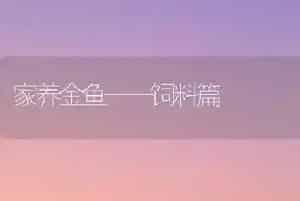 家养金鱼——饲料篇