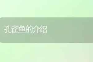 金鱼饲料的调配原则