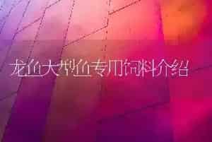 龙鱼大型鱼专用饲料介绍