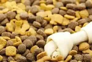 带可卡犬回家前需要准备的用品(可卡犬)