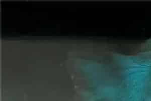 什么热带鱼招财(金鱼在传统上被称为风水鱼)