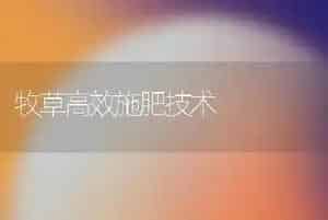 牧草高效施肥技术