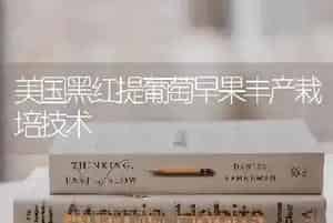 大棚施肥“七不要”