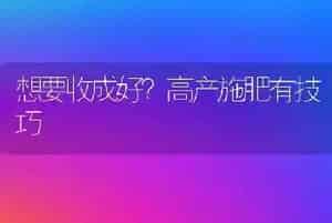 想要收成好?高产施肥有技巧