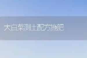 大白菜测土配方施肥
