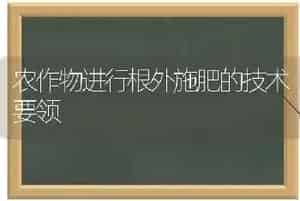 农作物进行根外施肥的技术要领