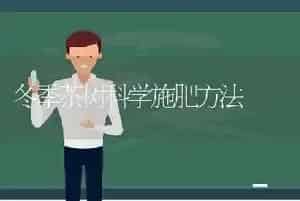冬季茶树科学施肥方法