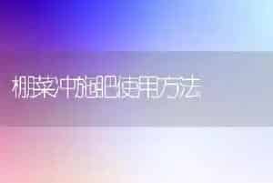 棚菜冲施肥使用方法