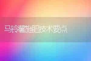 马铃薯施肥技术要点