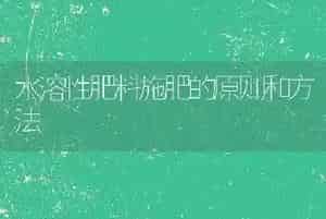 水溶性肥料施肥的原则和方法