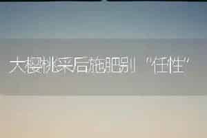 大樱桃采后施肥别“任性”