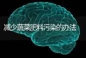 减少蔬菜肥料污染的办法