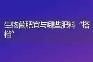 生物菌肥宜与哪些肥料“搭档”