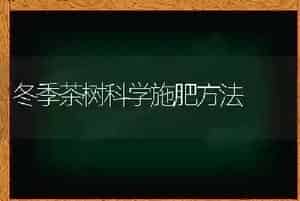 冬季茶树科学施肥方法
