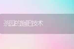茶园的施肥技术