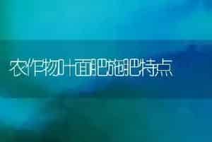 农作物叶面肥施肥特点
