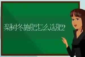 梨树冬施肥怎么选肥?