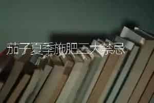 茄子夏季施肥三大禁忌
