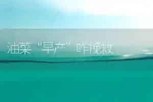 冬季设施草莓科学施肥技术意见