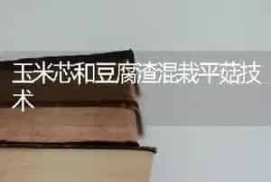 玉米芯和豆腐渣混栽平菇技术