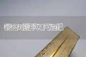 樱桃树夏季如何施肥