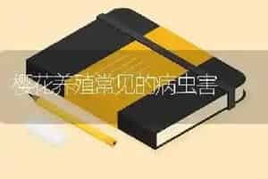 樱花养殖常见的病虫害
