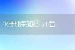冬季棚菜施肥九不宜