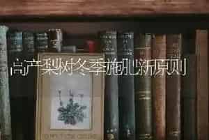 高产梨树冬季施肥新原则