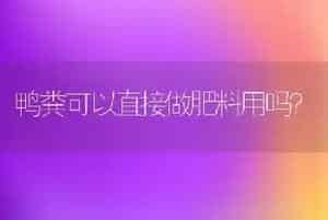 鸭粪可以直接做肥料用吗?